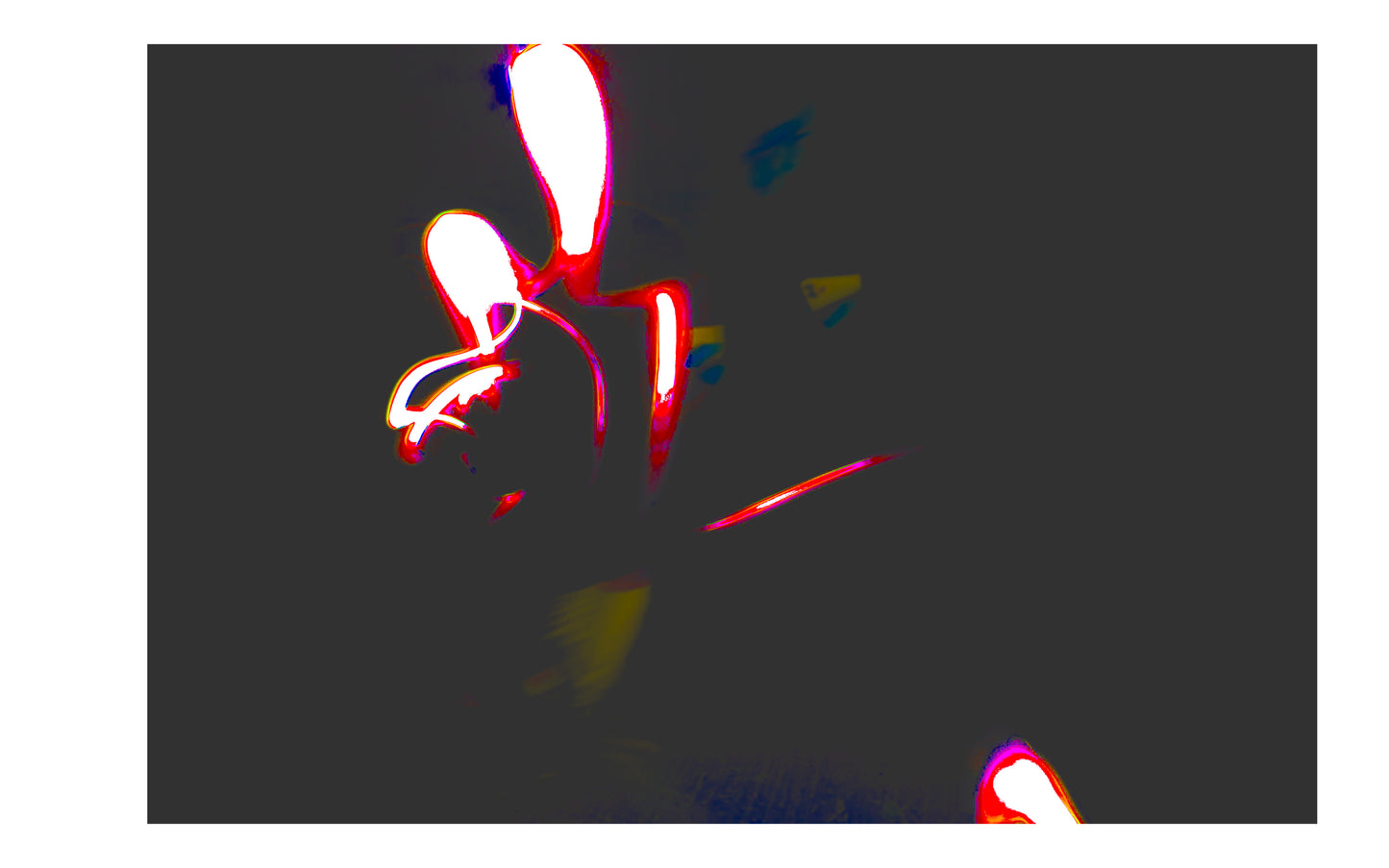 χταπόδι mounted prints