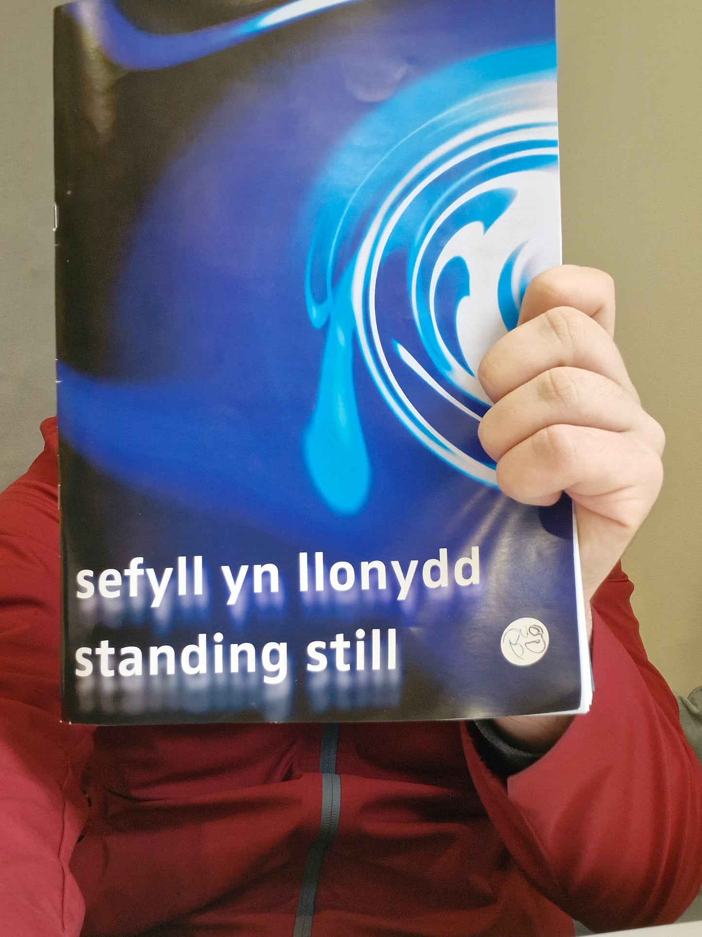 Standing Still Book